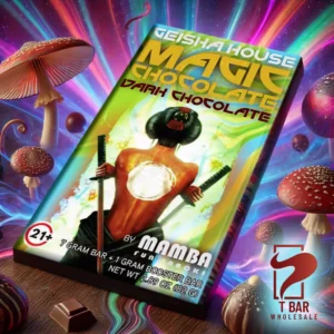 Geisha House Magic Mushroom Bars - Dark Chocolate